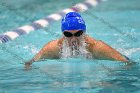 Swimming & Diving vs Babson  Swimming & Diving vs Babson College. - Photo by Keith Nordstrom : Wheaton, Swimming